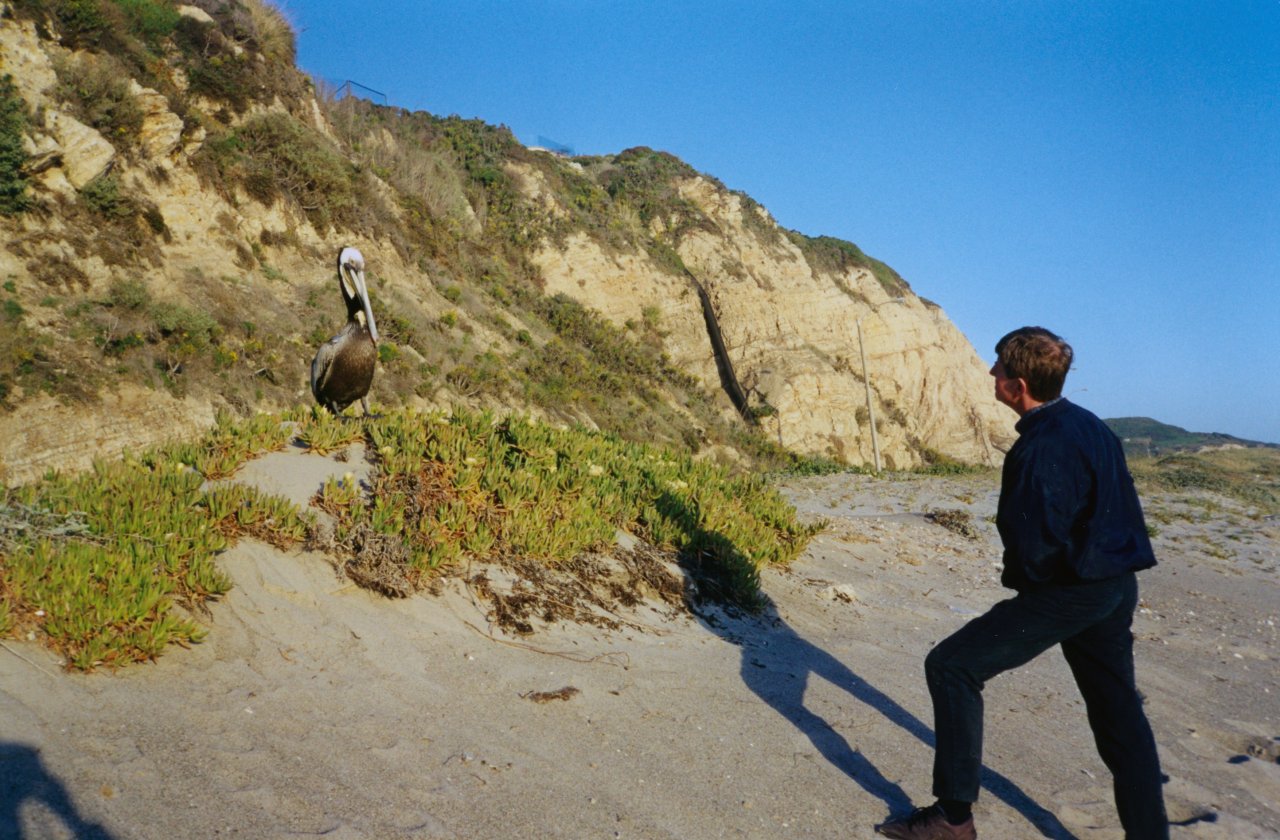 Adrian enjoying the local pelican 1997